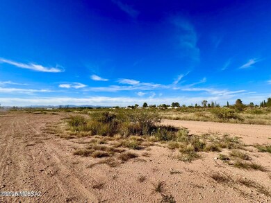 TBD International Ave 4 24 Acres, Douglas, AZ 85607 - photo 5