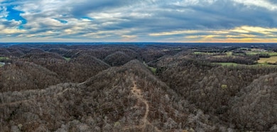 1438 Wartrace Rd, Red Blng Springs, TN 37150 - photo 4