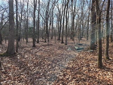 TBD Blue Mountain Rd, Prairie Grove, AR 72753 - photo 3