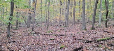 TBD Pine Ridge Rd, Morgantown, WV 26508 - photo 2