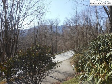 Grandfather Mountain View