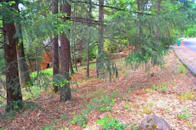 The lot is accessible from a paved and maintained 