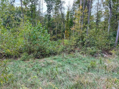 0 Lower Twin Rd, South Salem, OH 45681 - photo 7