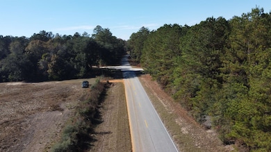 001 Open Pond Rd, Florala, AL 36442 - photo 5