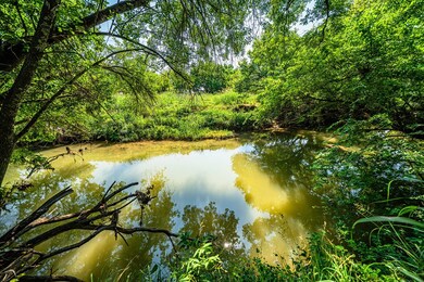 5982 S State Highway 16, Fredericksburg, TX 78624 - photo 7