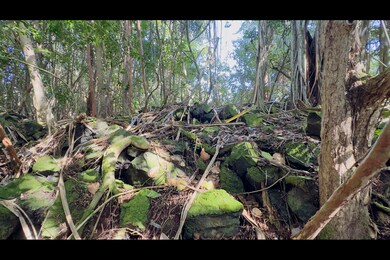 0 Kilika St unit 718096, Keaau, HI 96749 - photo 5