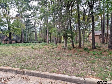 9075 Elm Tree Cir, Tyler, TX 75703 - photo 2