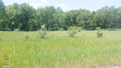 PAR B W 17 Mile Rd, Lilley Township, MI 49309 - photo 2