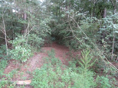 2.53 Acres Hackberry Dr, Plantersville, TX 77363 - photo 5