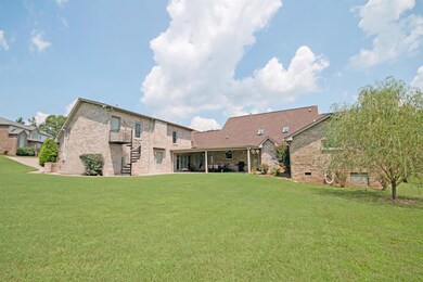 Look at this fantastic back yard. Level, and big enough for that traditional family game of kickball, or Easter Egg hunt, or maybe put in a nice pool.  