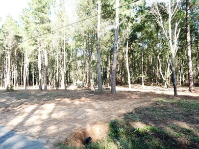 001 Cactus Dr, Laurel, MS 39443 - photo 3