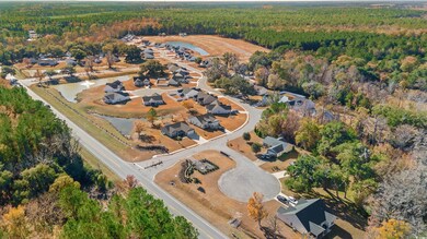 192 Six Mile Creek Dr unit Lot 42 - Laurel Oak, Georgetown, SC 29440 - photo 3