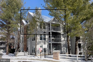 4400 Silverbrook Ln unit F301, Owings Mills, MD 21117 - photo 2