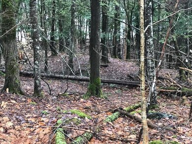 Bear Point Lot