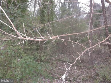 0 5th St unit VAWE117814, Colonial Beach, VA 22443 - photo 3