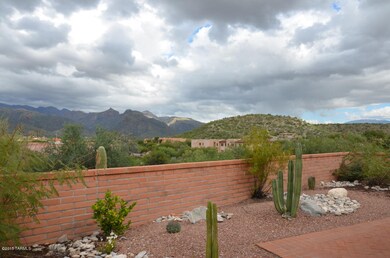 views of the cats and rincons