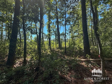 XX1 Decon Rd E, Bonifay, FL 32425 - photo 6