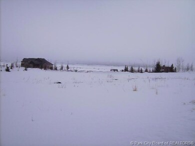 Land/Lot.