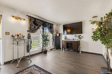 11718 E Canal Dr, Aurora, CO 80011 - photo 7