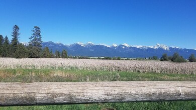 wetlands next door
