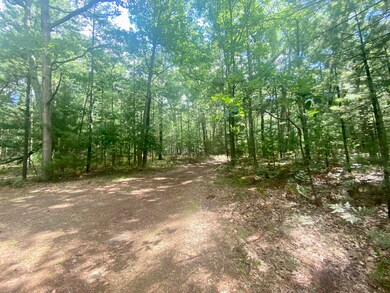 VL Honeymoon Lake Dr, Baldwin, MI 49304 - photo 2