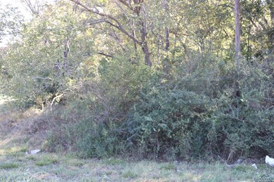 TBD E Webster St, Jefferson, TX 75657 - photo 3