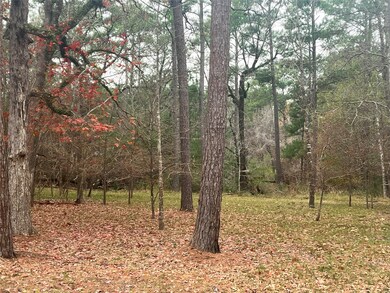 Cape Royale on Lake Livingston.