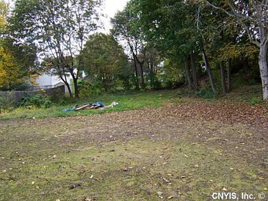 Yard/Garden Large Yard