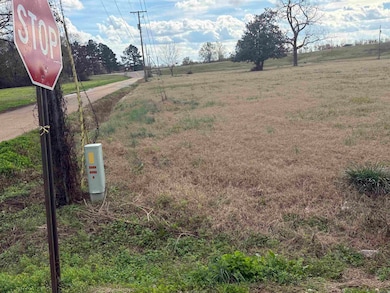 00 S 10th St unit South Tenth Street,, Clarendon, AR 72029 - photo 7