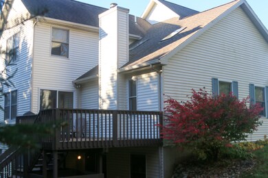 Cypress-48