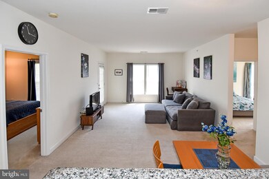 22655 Blue Elder Terrace unit 302, Ashburn, VA 20148 - photo 5