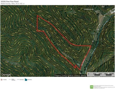 35335 Paw Paw Road Aerial Map