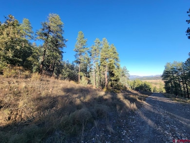 21 Echo Lake Access Easement, Pagosa Springs, CO 81147 - photo 5