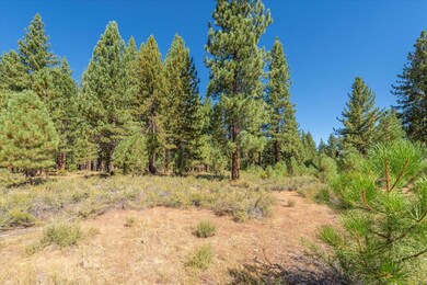 11272 Wolverine Cir, Truckee, CA 96161 - photo 5