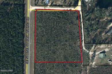 0 SE Nadine Stone Landing Rd, Kinard, FL 32449 - photo 6