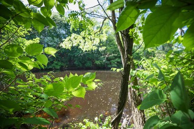 191 Washington St unit 1, Dover, NH 03820 - photo 3