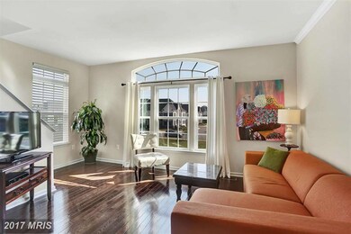 25120 Elwen Terrace, Chantilly, VA 20152 - photo 4