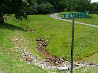 300 Sequoyah View Trail, Franklin, NC 28734 - photo 7