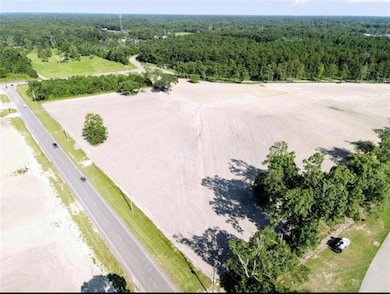 0 Pumpkin Center Rd, Hammond, LA 70403 - photo 3