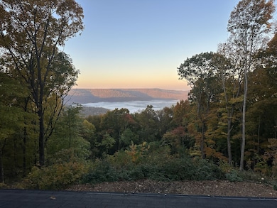 900 Valley View Dr, Altamont, TN 37301 - photo 5