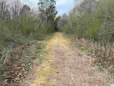 0 Wallace St unit 1, Sylacauga, AL 35151 - photo 6