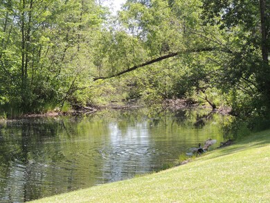 Beautiful Pond