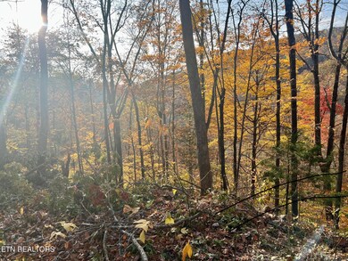 View from one of the homesites