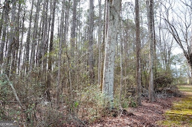 0 Monroe Hwy unit 10466108, Bethlehem, GA 30620 - photo 5