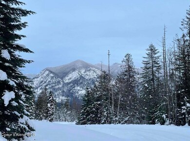 NNA Sled Run Trail, Clark Fork, ID 83811 - photo 2