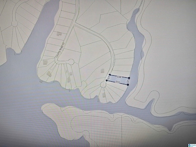 LOT 9 Paint Creek Overlook unit lot 9, Weogufka, AL 35151 - photo 5