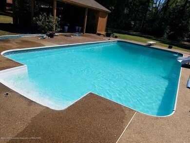Malone Swim Pool 2