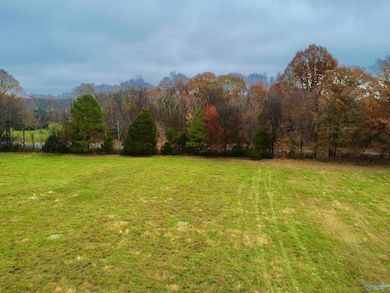 Tract 4 County Road 89, Anderson, AL 35610 - photo 6