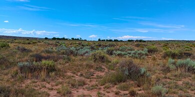 7060th, Chambers, AZ 86502 - photo 7