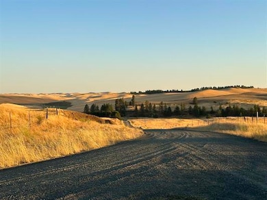 TBD Main St, Other, WA OTHER - photo 3